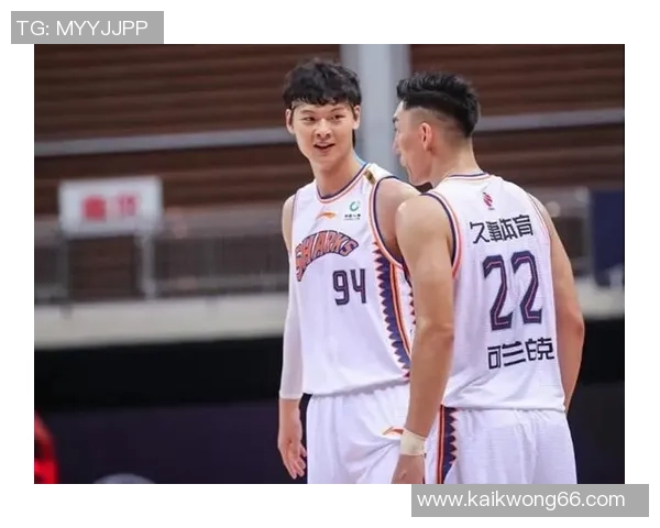 武汉篮球队球员个人能力分析与表现评估研究