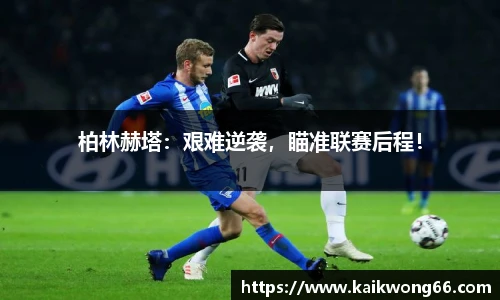 mk体育