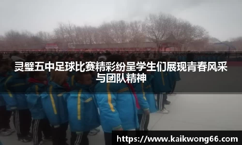 mk体育