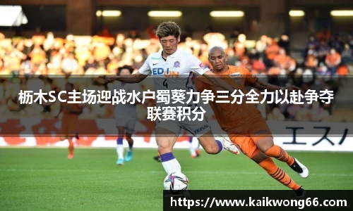 mk体育
