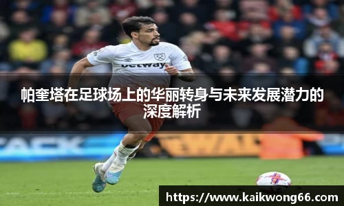 mk体育官网