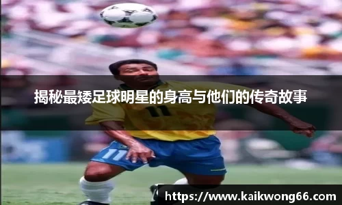 mk体育